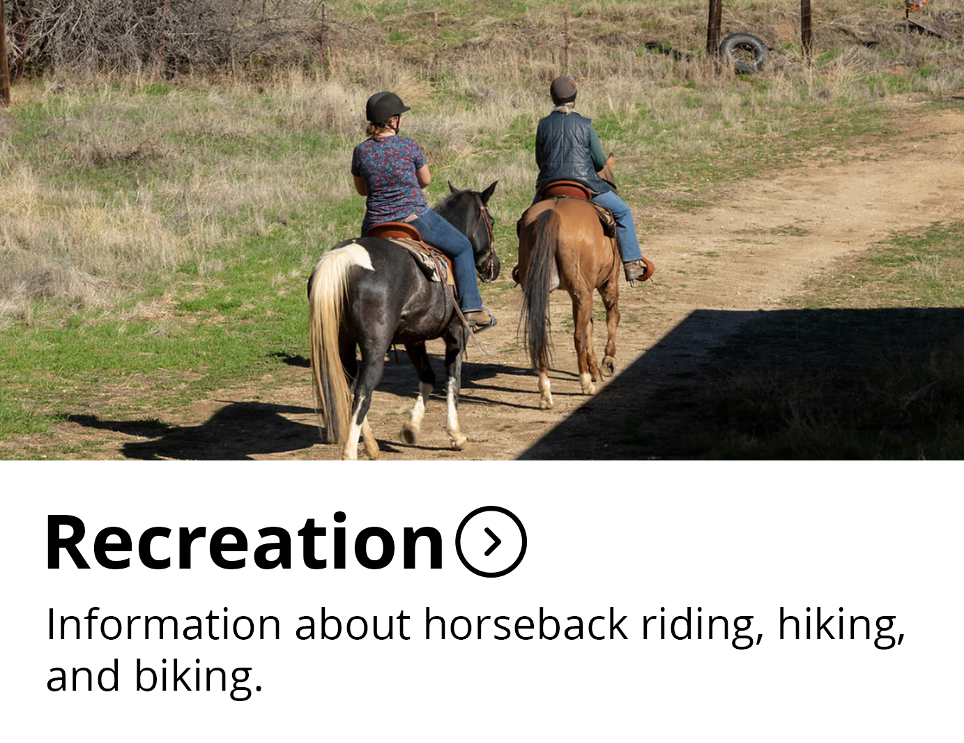 Recreation Button